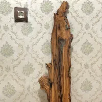 چوب خوش نقش|حراج|تهران, تهرانپارس جنوبی|دیوار