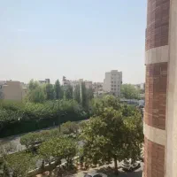 هروی ۶۸ متر تاپ منطقه