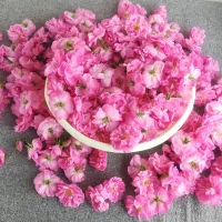 گل محمدی تازه