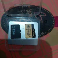 دو عدد معموری اصل