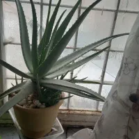 واگذاری وفروش شرکت آموزشی