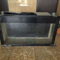 آکواریوم سالم  شهرری