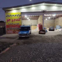 فروش  تناژ جو درجه یک دیم و آبی به شرط|خدمات باغبانی و درختکاری|بروجرد, |دیوار