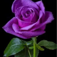 برای سرگرمی چکار خوبه