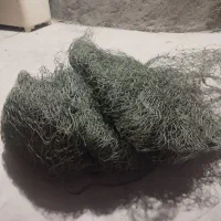 تور ماهیگیری شیر متری 190هزار تومان|ماهیگیری|مهر, |دیوار