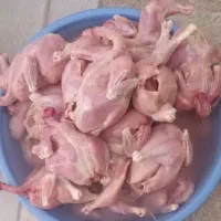 مرغ دانه 580هزار