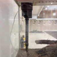 آکواریوم ماهی|ماهی|پارسیان, |دیوار