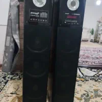 یه جفت باند فدرال کاملا سالم