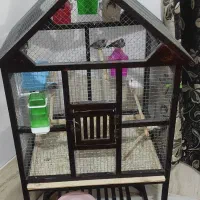 قفس پرنده