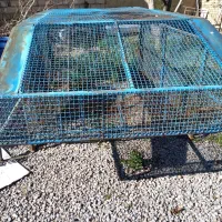 باربند چادری