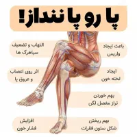 زالو|خزنده|زنجان, |دیوار