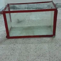 اکواریوم سالم