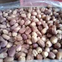 فروش خرمای زاهدی با کیفیت کیلویی ۱۷۰۰۰۰ در رشت|خوردنی و آشامیدنی|رشت, انصاری|دیوار