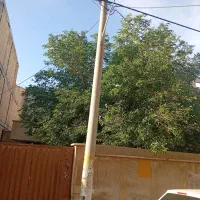 زمین جنوبی 230 متری کوی کارمندان