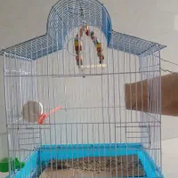 قفس پرنده با بهترین کیفیت