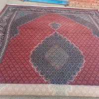 یک جفت ۳در۴ ماهی