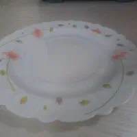 بشقاب پلو خوری