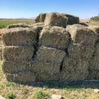 یونجه بسته بندی شده