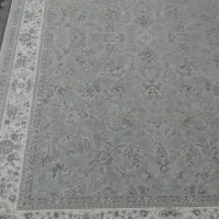 دوتخته فرش اشپزخانه واتاق|فرش|محمدشهر, محمدشهر|دیوار