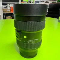sigma 14-24 dg dn sony