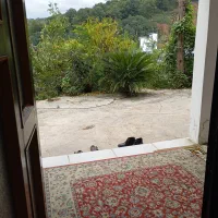 اجاره ویلا جنگلی تک خوابه|اجارهٔ کوتاه‌مدت ویلا و باغ|چالوس, |دیوار