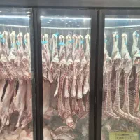 مرغ خورد کن و ترازو دار مرغ