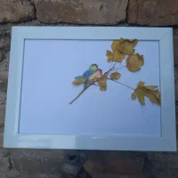 ترسیم ترکیبی گل و بلبل با تک شاخه طبیعی|تابلو، نقاشی، عکس|شیراز, امام حسین|دیوار