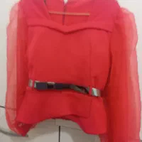 دو عدد شومیز مجلسی