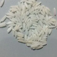 برنج صدری موجود است