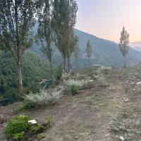 فروش800متر زمین در ییلاق های سوادکوه کد(10)