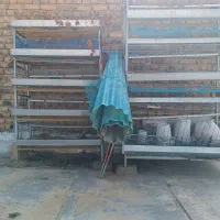 قفس مرغ وبلدرچین