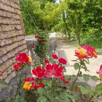 چناران-باغ-ویلا-ودامداری-امتیازکامل-حاشیه-اصلی