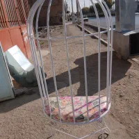 صندلی عروس|صندلی و نیمکت|خمینیشهر, |دیوار