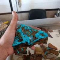 فیروزه کلکسیونی