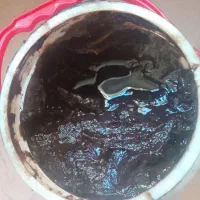 ترشی الوچه قیمت کیلویی۴۰۰