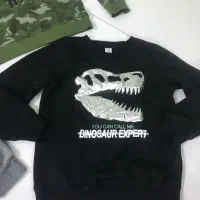 تعدادی لباس کفش هودی دورس سیوشرت