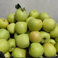 سیب قیمت مناسب
