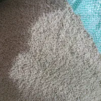 لاشه برنج طارم فریدونکنار