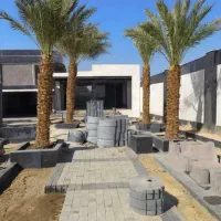 نخل تنه دار