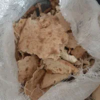 نان دامی