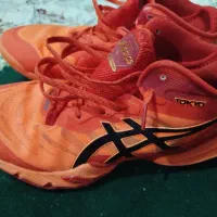 کفش یک بار هم پوشیدن نشده|کیف، کفش، کمربند|رامیان, |دیوار