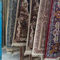 قالی شویی ایلیا کلین