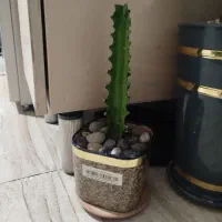 حراج وسایل|حراج|زنجان, |دیوار