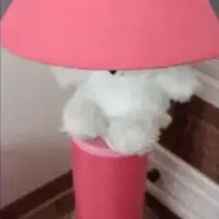 حراج ۲۰۰|حراج|همدان, |دیوار