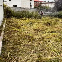 فروش-فوری-زمین-داخل-بافت-بلوار-کریمی