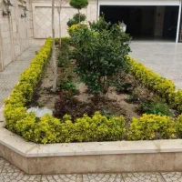 خدمات باغبانی گلکاری درختکاری چمنکاری نهال میوه