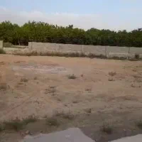 باغ زمین باغی ۱۱۴۰ متر|فروش خانه و ویلا|مبارکه, |دیوار