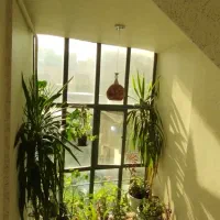 تک واحده بر خیابان اصلی کوی فیروز .فاطمی|فروش آپارتمان|تبریز, |دیوار