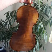 ویولن تی اف کورلی Corelli M408-D