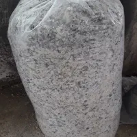 تفاله چغندر تر دونم۸/۷۰۰|عمده‌فروشی|کردکوی, |دیوار